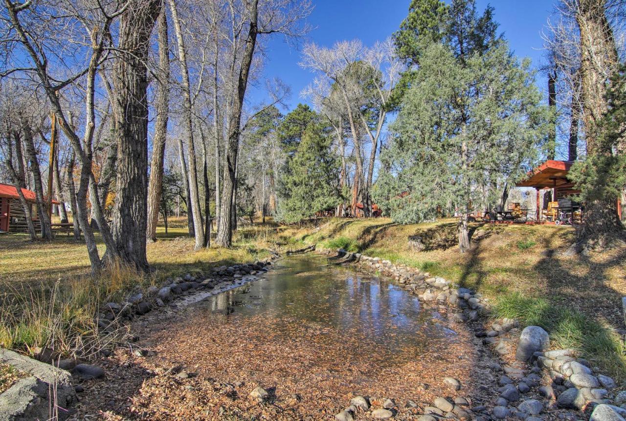 Cozy Colorado Cabin With Deck, Grill And River Access! 布埃纳维斯塔 外观 照片