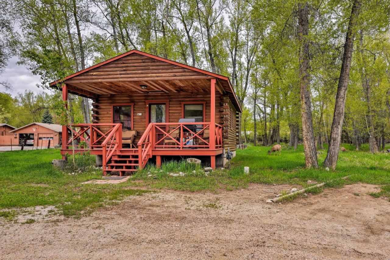 Cozy Colorado Cabin With Deck, Grill And River Access! 布埃纳维斯塔 外观 照片