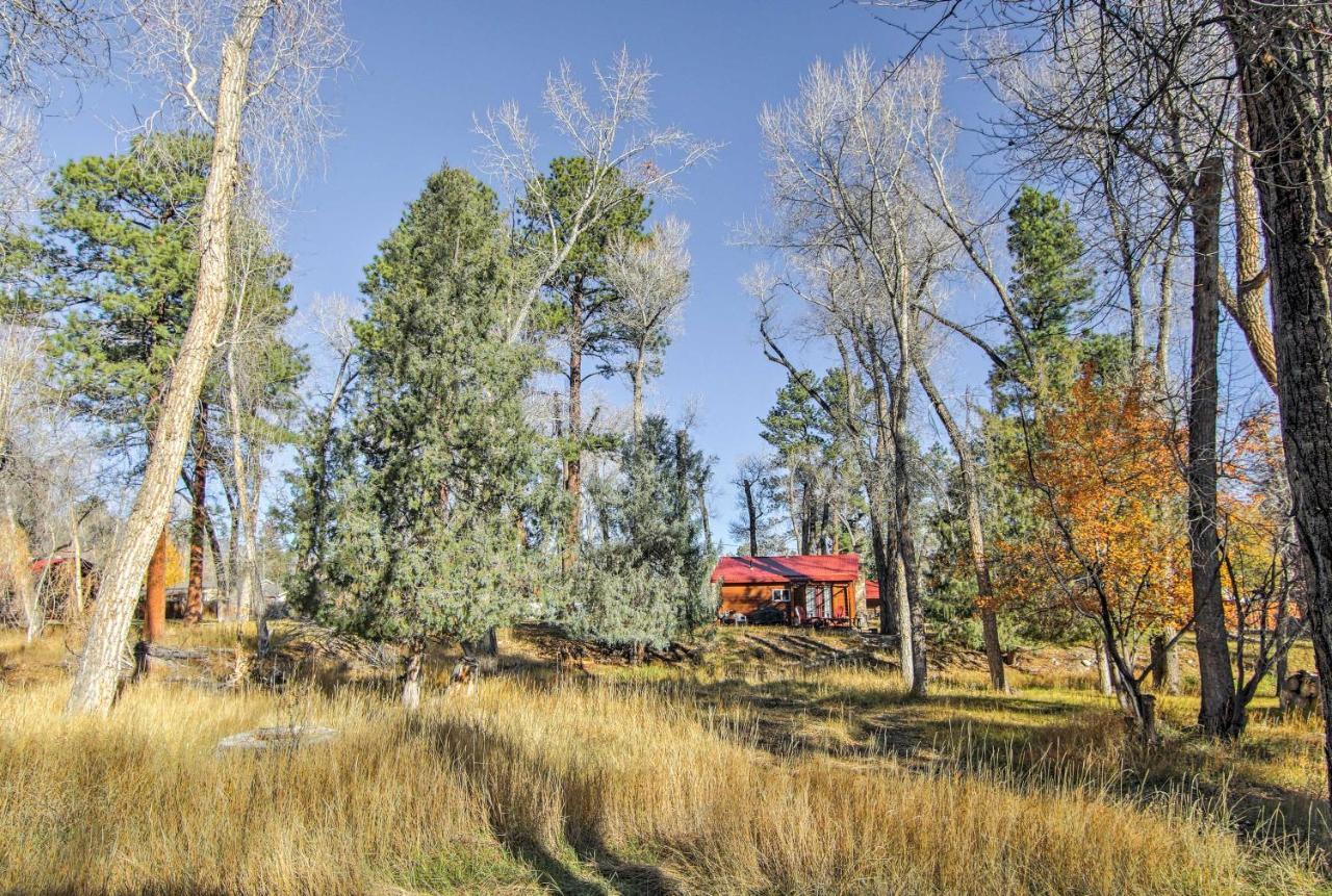Cozy Colorado Cabin With Deck, Grill And River Access! 布埃纳维斯塔 外观 照片